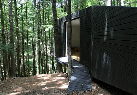 Half-Tree House: Unique Cabin Built Among Trees