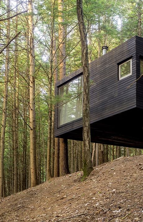 Half-Tree House: Unique Cabin Built Among Trees