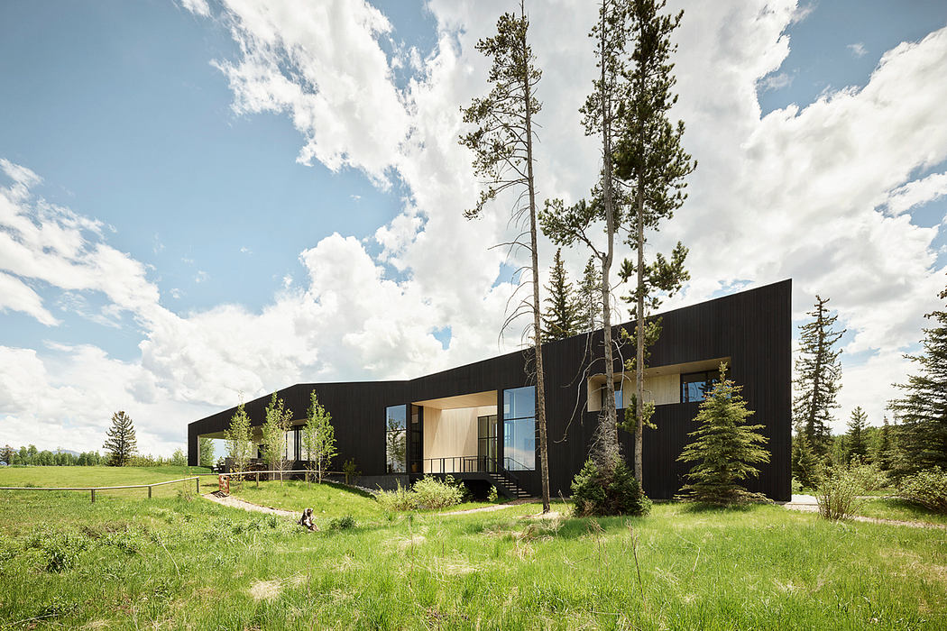 A modern, black-clad building nestled in a lush, green meadow, with tall pine trees surrounding it.