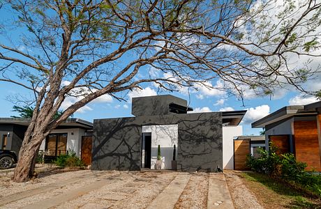Modern home with intricate branch shadows, minimalist concrete design, and wooden accents.