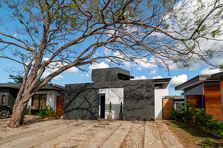 Modern home with intricate branch shadows, minimalist concrete design, and wooden accents.
