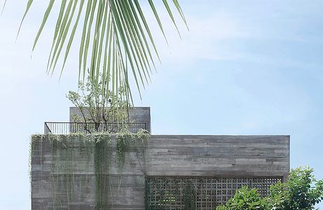 Sleek, modern concrete structure with lush greenery cascading from the balcony.