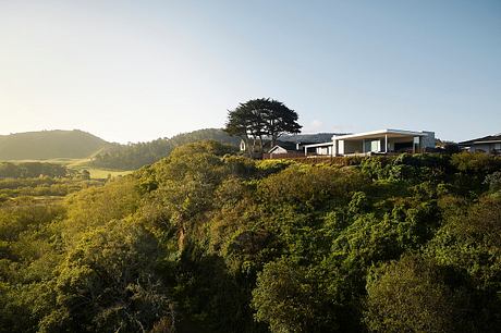 Elevated modern home nestled in lush, mountainous landscape with striking tree silhouette.