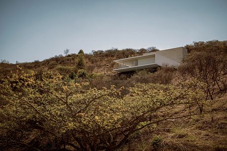 A cantilevered modern home nestled among the lush, shrubby terrain.