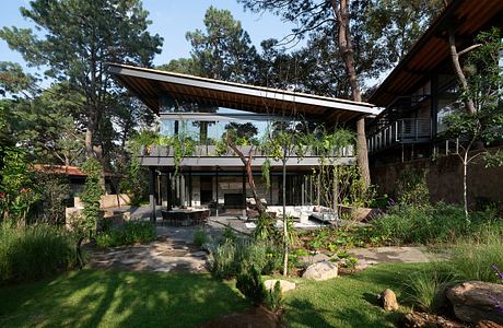 A modern, wooden-roofed house in a lush, forested setting with extensive glazing and an open layout.