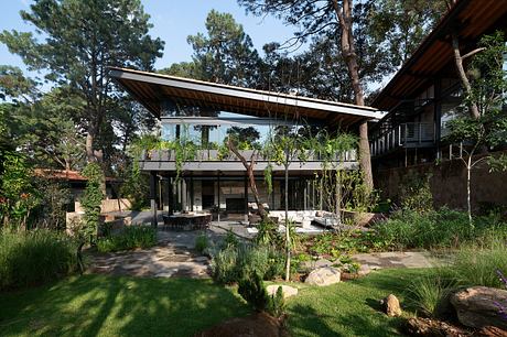 A modern, wooden-roofed house in a lush, forested setting with extensive glazing and an open layout.