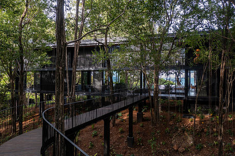 A modern, elevated structure built among lush, green trees, with glass walls and a walkway.