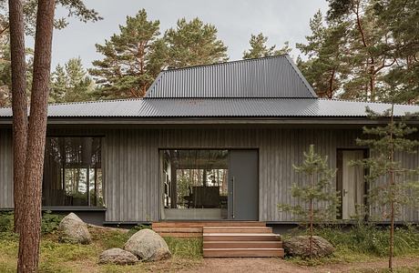 Modern wooden cabin with a slanted roof, large windows, and a porch with wooden steps in a pine forest setting.