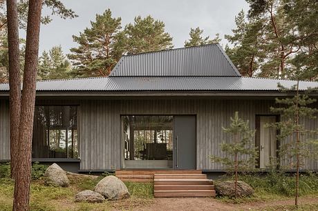 Modern wooden cabin with a slanted roof, large windows, and a porch with wooden steps in a pine forest setting.