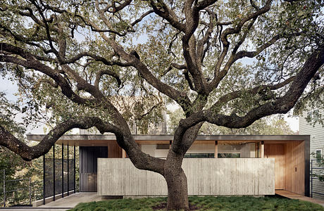 Impressive modern residence with large oak tree and concrete exterior highlighted.