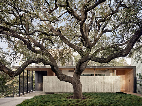 Impressive modern residence with large oak tree and concrete exterior highlighted.