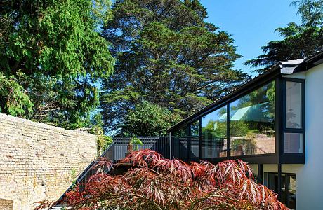 A modern glass-enclosed structure with a vibrant Japanese maple tree in the foreground.