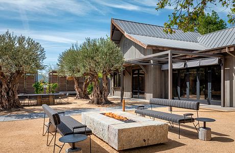 Rustic outdoor seating area with wooden building, metal roof, and olive trees.