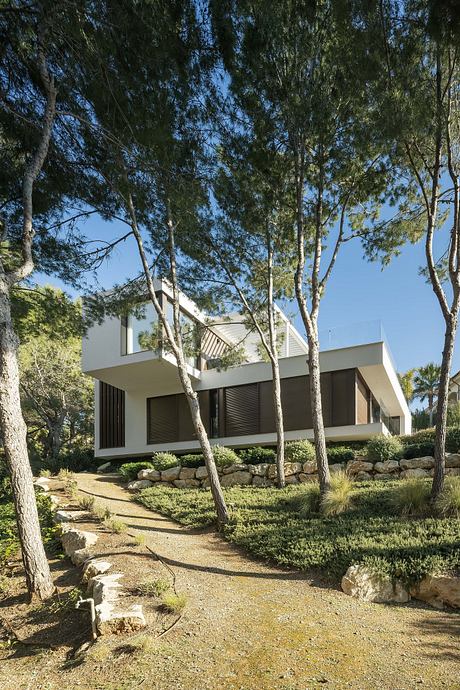 Modern, multilevel house nestled among tall trees with a stone pathway leading to the entrance.