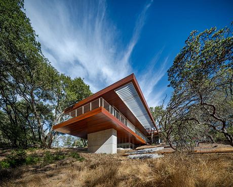 Modern, elevated home with wooden accents, surrounded by lush trees and open landscape.