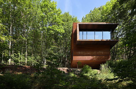 Modern wooden structure with large windows in dense forest setting.