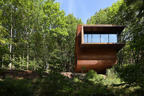 Modern wooden structure with large windows in dense forest setting.