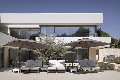 Modern outdoor patio with comfortable seating, umbrellas, and an olive tree against a glass-walled building.