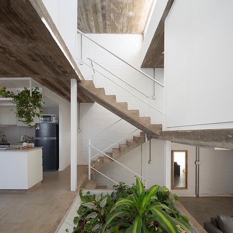 A modern and minimalist staircase design with natural wood accents and lush indoor plants.