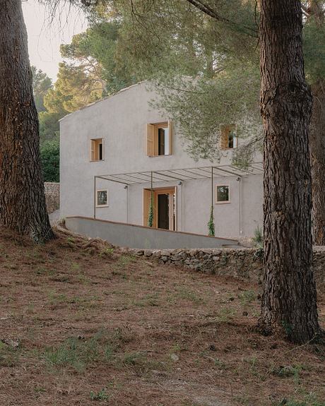 A modern, gray-walled house nestled among towering trees, with wooden windows and an open porch.