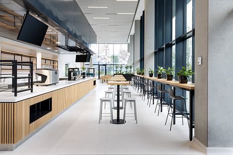 Modern open-plan office space with wood and concrete accents, seating areas, and greenery.