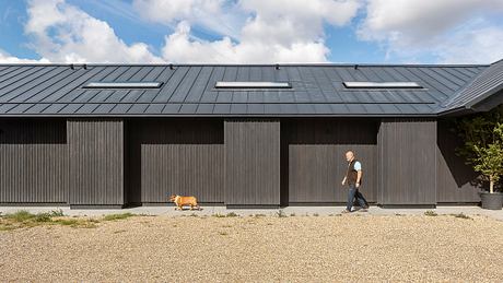 A modern, black-paneled building with large windows and a person walking past a dog on the gravel.