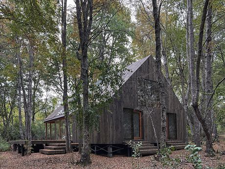 A rustic cabin nestled in a lush, forested setting, featuring a peaked roof and wooden siding.