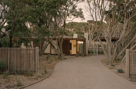 A peaceful, modern home amidst a lush, wooded landscape, complemented by a winding path.