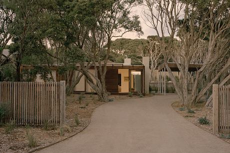 A peaceful, modern home amidst a lush, wooded landscape, complemented by a winding path.