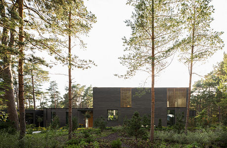 A modern, black wooden house nestled among pine trees, with large windows and vertical slat accents.