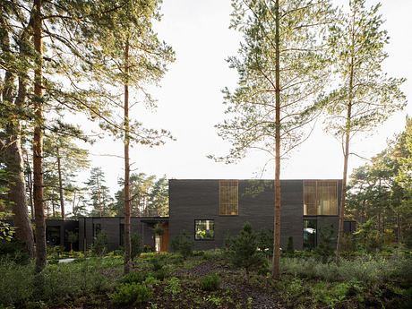 A modern, black wooden house nestled among pine trees, with large windows and vertical slat accents.