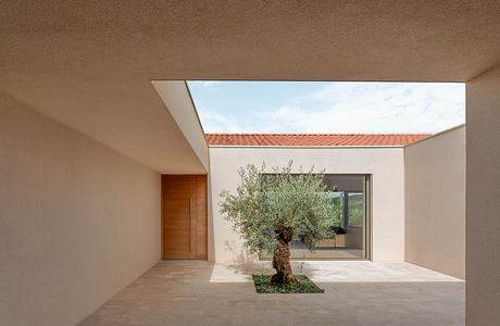 A modern, minimalist building with a central courtyard featuring a mature olive tree.