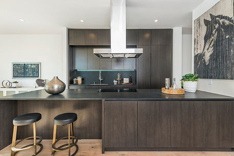 Modern kitchen with sleek dark cabinets, stainless steel appliances, and wood floors.