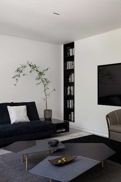 Sleek, minimalist living room with black furniture, built-in shelving, and potted plant.