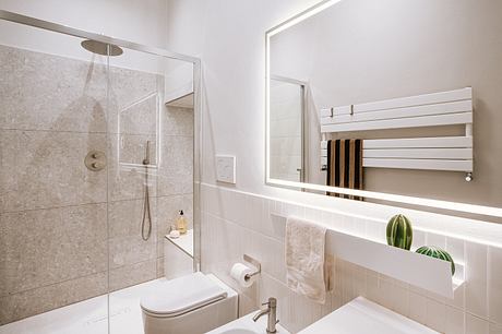 Sleek modern bathroom with glass shower, wall-mounted towel rack, and potted plants.