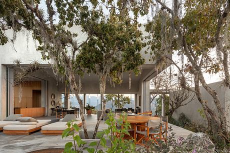 Expansive glass-walled home nestled among lush greenery and mature trees, showcasing an inviting indoor-outdoor living space.