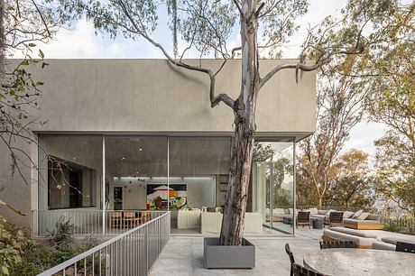 Modern, minimalist architecture featuring a large glass facade, outdoor seating, and a tree growing through the structure.
