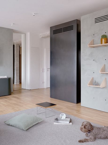 Minimalist apartment interior with sleek gray cabinetry, floating shelves, and cozy décor.