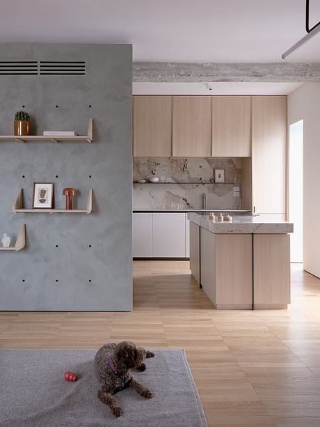Sleek, modern kitchen with minimalist gray walls, wood cabinetry, and marble countertops; cozy dog napping on rug.
