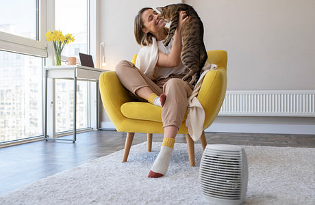 Cozy living room with yellow accent chair, fluffy rug, and air purifier near window.