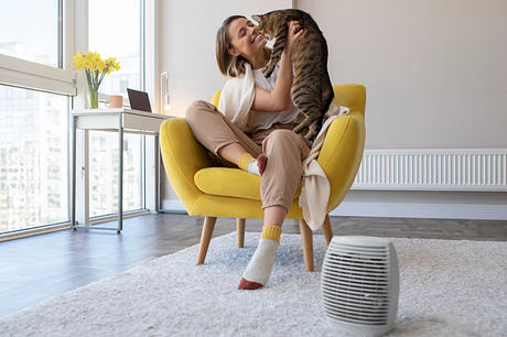 Cozy living room with yellow accent chair, fluffy rug, and air purifier near window.