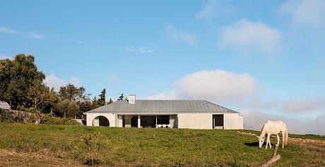 A modern, minimalist house with a metal roof and large windows, set against a rural landscape with a white horse.