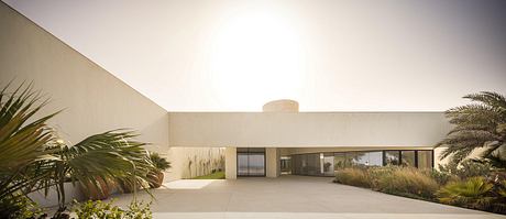 A modern, minimalist home with clean lines, large windows, and a courtyard with palm trees.