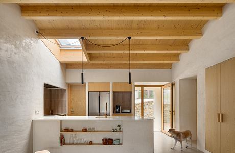 An open-plan kitchen with a wooden beam ceiling, concrete floors, and a deer wandering through.