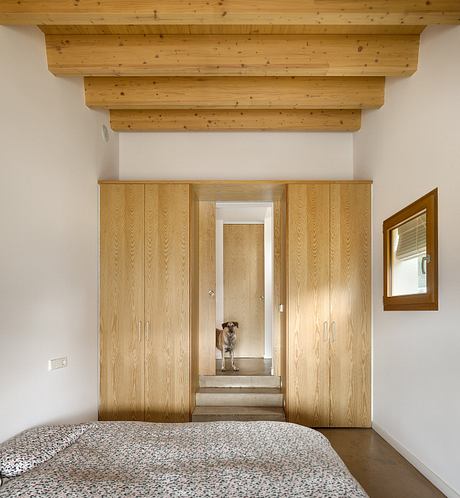 Cozy bedroom with wooden slat ceiling, built-in wardrobes, and a dog peeking through doorway.