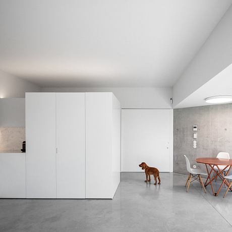 Minimalist interior design with white cabinetry, concrete floors, and a small dog.
