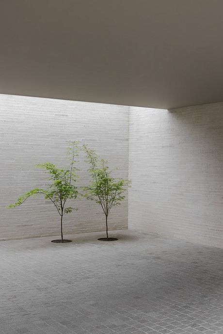 Minimalist indoor space with two small trees, tiled floor, and textured walls.