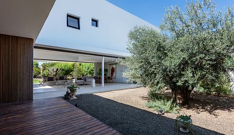 Modern architectural design with covered patio, olive trees, and wood deck. Sleek exterior and interior features.