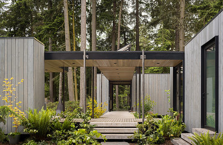 A modern, wooden cabin surrounded by lush forest, with a covered walkway and glass façade.