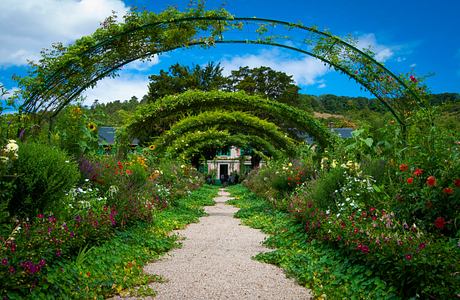 Lush, verdant garden pathway leads through ornate, arched trellises to a charming house.